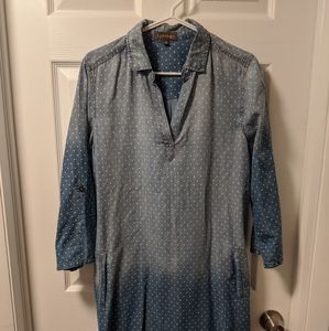 Luxology denim dress